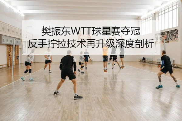 樊振东WTT球星赛夺冠 反手拧拉技术再升级深度剖析（Kaiyuan）